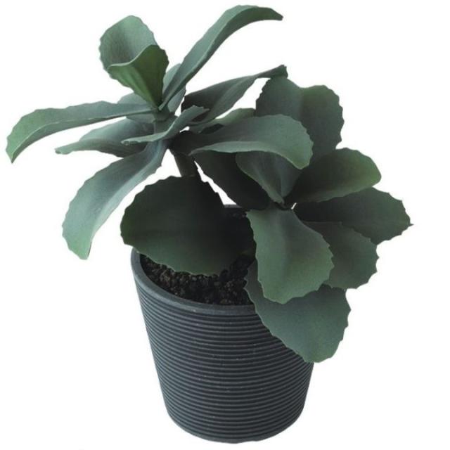 光触媒　人工観葉植物　フェイクグリーン　ソードファンスタンプウッド 光触媒 人工観葉植物 フェイクグリーン ソードファンスタンプ