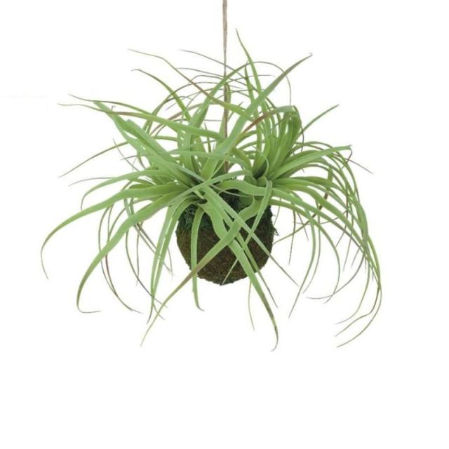 光触媒　人工観葉植物　ウォールグリーン　フェイクグリーン　チランジアモスボール 光触媒 人工観葉植物 ウォールグリーン フェイクグリーン ボールグラス