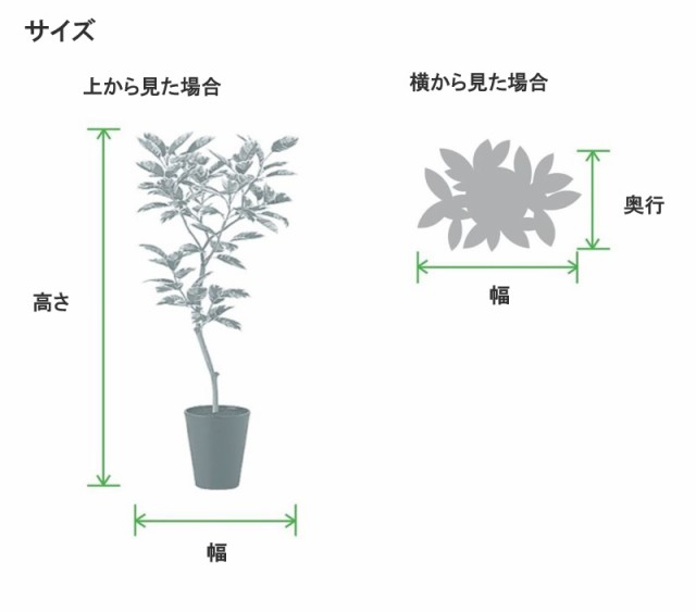 人工観葉植物 ウンベラータ FST 180 ポット付き 高さ180cm （P42-99100