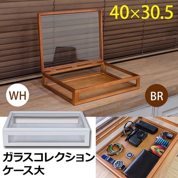 ショーケース オフィス収納 オフィス家具 家具 インテリア ガラスコレクションケース 大 BR WH 中身の見える 側面からも 10,959円