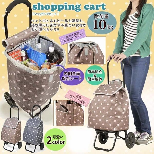 キャリーバッグ スーツケース レディースバッグ レディースファッション 保冷機能有 お買い物に便利 ショッピング キャリーカート ビール