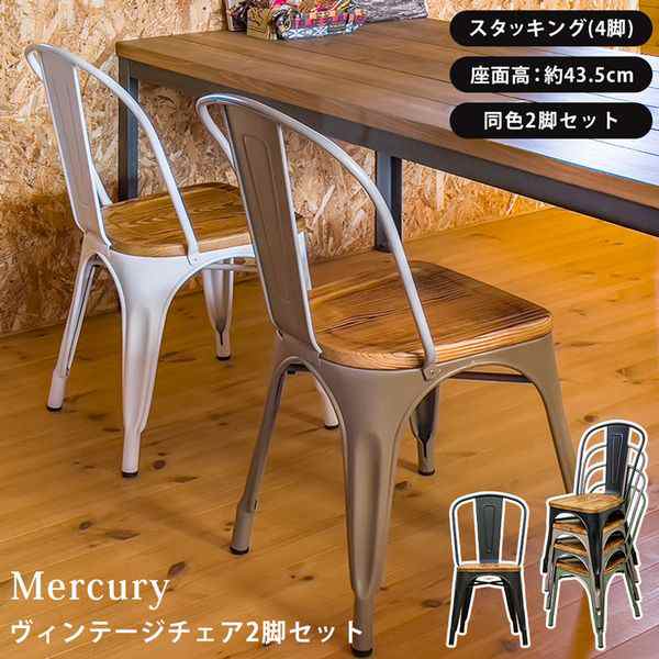 椅子 家具 インテリア Mercury ヴィンテージチェア 2脚セット BK MGN 