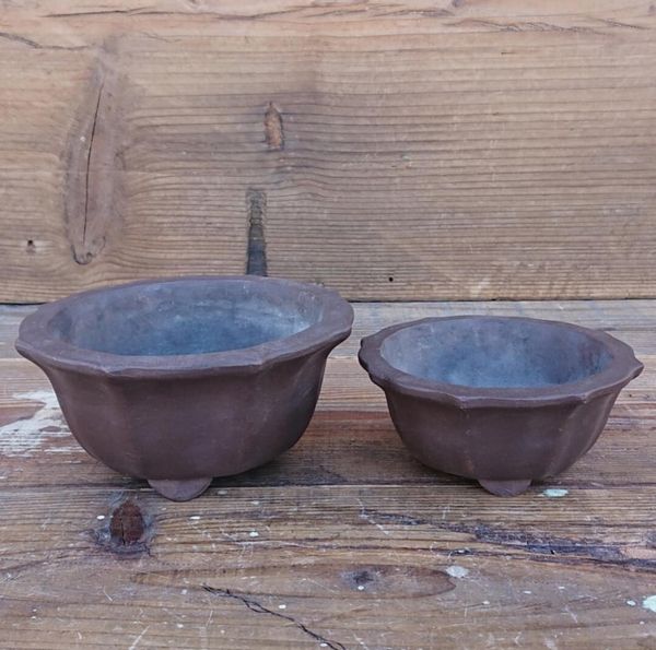 エンドリ様 平鉢Hiyodori５号 浅瀬鳳凰５号　牙城armored４号 No.047-120mm(4号鉢) | MetaFlora | 3Dプリンター植木鉢