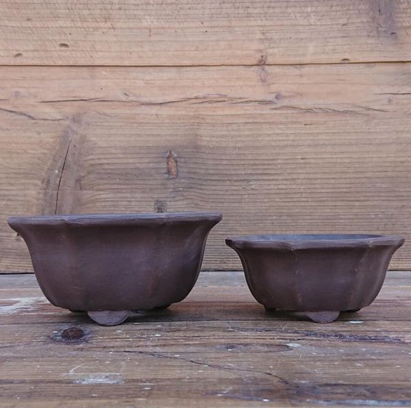 鉢（一般） 鉢 プランター ガーデニング 園芸用品 花 朱泥 植木鉢 平丸