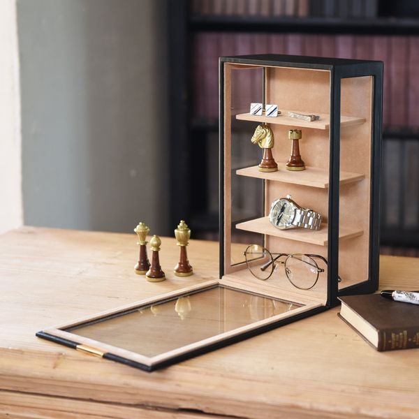 メガネケース メガネ 老眼鏡 健康 メンズアイテム Elementum メガネ