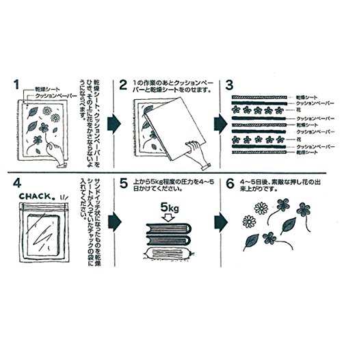 押し花 乾燥シートセット Fs 106の通販はau Pay マーケット Ksmtry