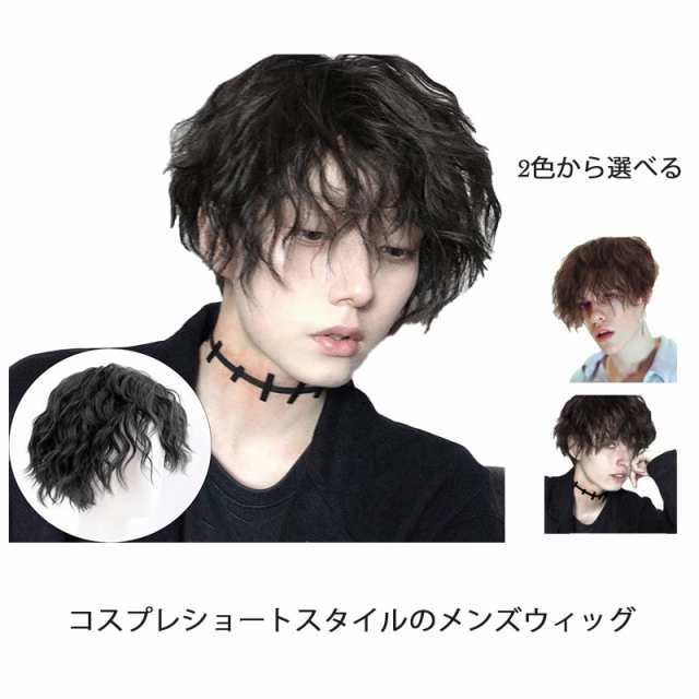 ウィッグ メンズ 短髪 フルウィッグ 巻き毛 かつら 超自然