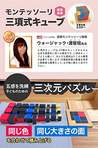 MonteMia 三項式キューブ モンテッソーリ 感覚教具 二項式 三次元