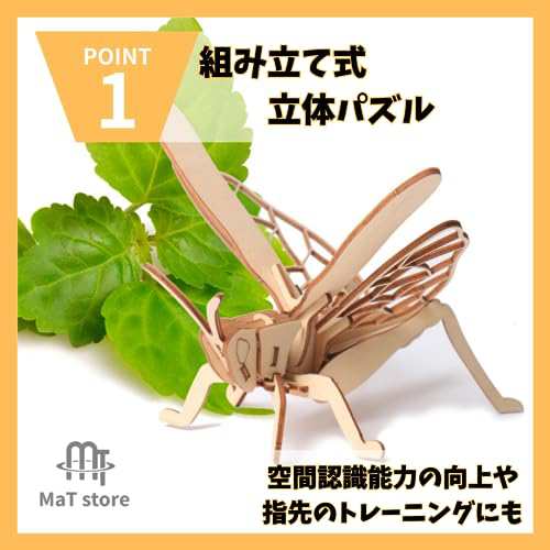 MaT store 立体パズル 木製パズル 昆虫 工作 3D パズル 子ども