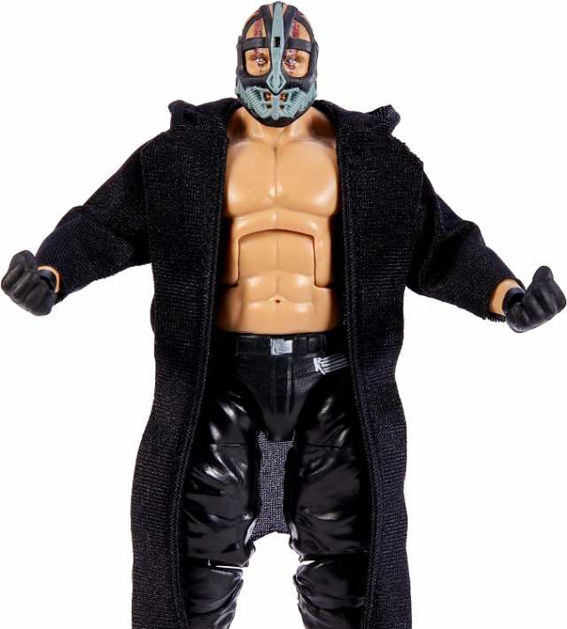 WWE フィギュア アメリカ直輸入 ?WWE Elite Collection Action Figure