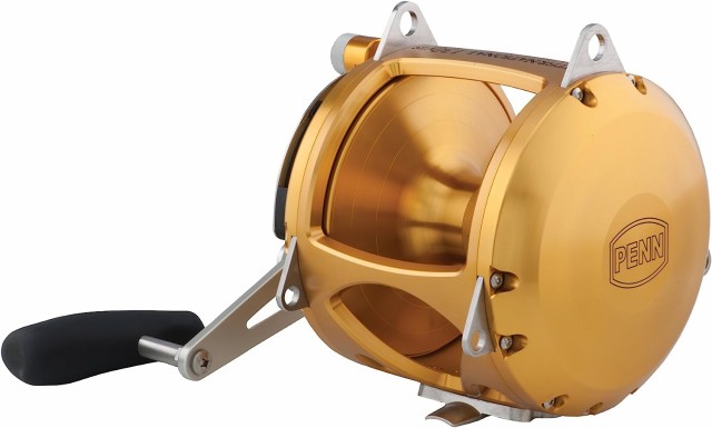 リール ペン Penn Penn International VIS 2 Speed Reel, Gold, 70の