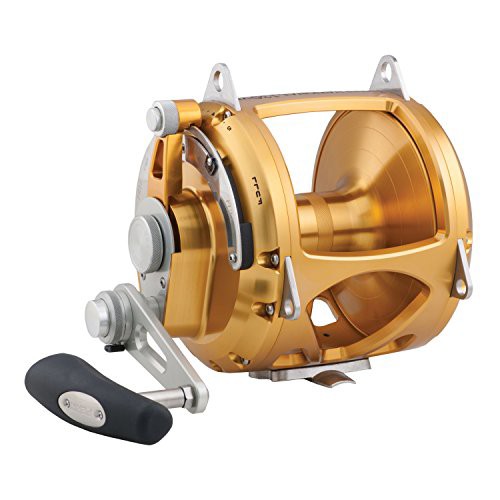 リール ペン Penn Penn International VIS 2 Speed Reel, Gold, 70の