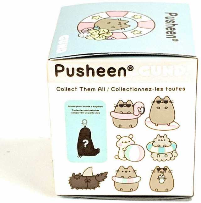 pusheen lazy summer