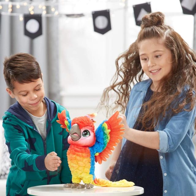 rockatoo the show bird