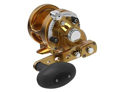 リール AVET 釣り道具 Avet Raptor Dual Drag Reel with Magnetic Cast