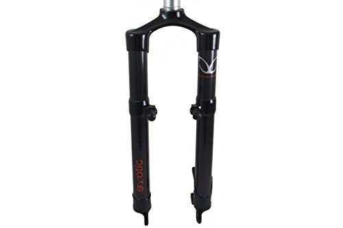 exotic rigid fork