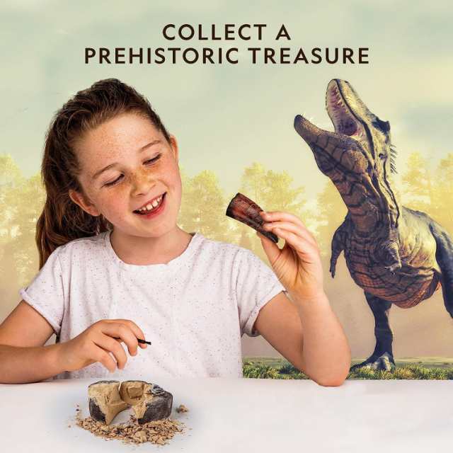 National Geographic JM80215 Dinosaur Dig Kit