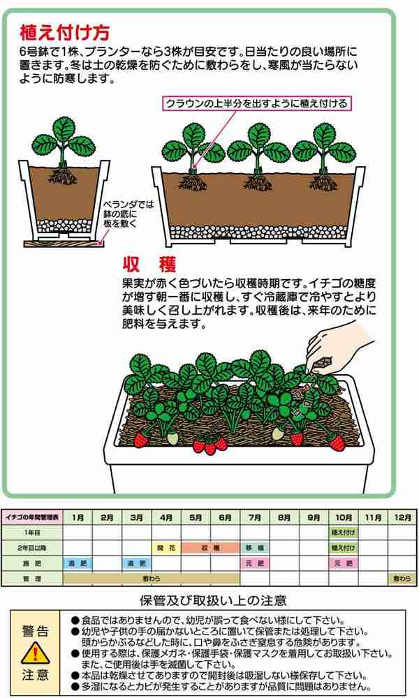イチゴ 肥料 専用 いちご 肥料 有機肥料 追肥 元肥 苺 5kg 2袋セットの通販はau Pay マーケット Pocketcompany6