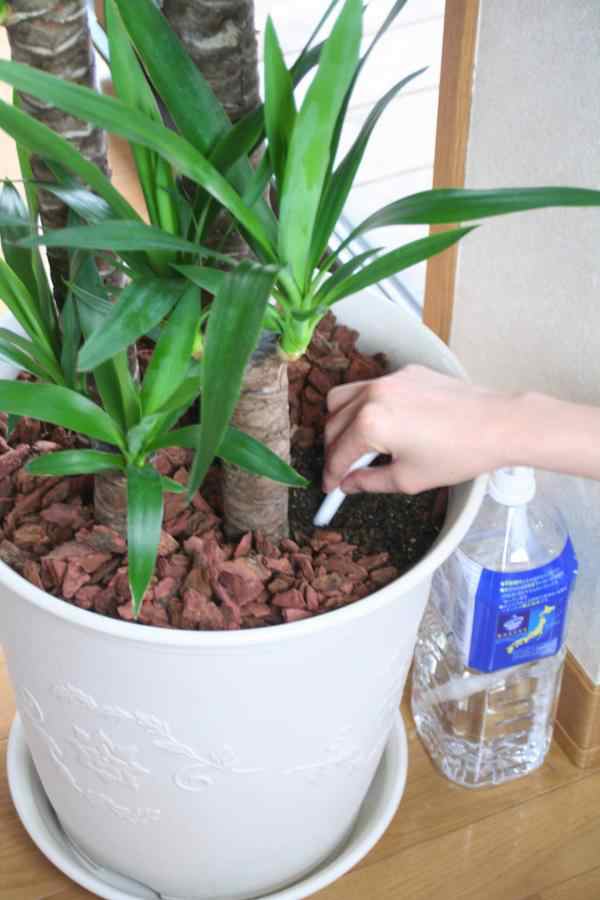 自動水やり ペットボトル 鉢植え用自動水やり プランター 散水機 8本の通販はau Pay マーケット Pocketcompany6