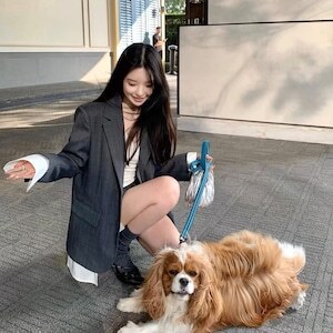 レディース ジャケット アウター セットアップ 長袖 襟付き タイト スリム 細身 前開き ボタン ドッキング 大人可愛い シンプル カジュアル 上品 おしゃれ かっこいい こなれ感 ラフ ガーリー クール モード系 モダン 存在感 フォーマル 都会的 春 秋 オフィス ビジネス OLの通販は