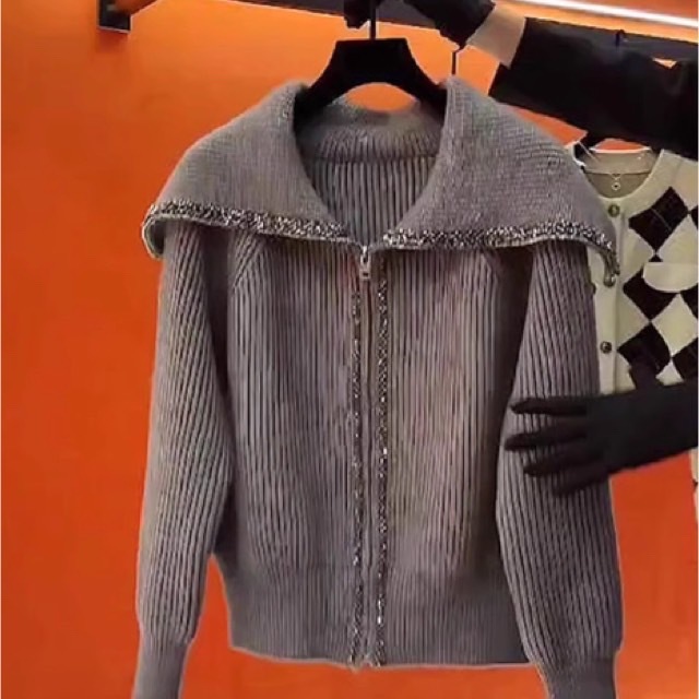 レディース トップス ニット カーディガン ファスナー ショート丈 長袖 萌袖 Vネック ニット かわいい 大人可愛い おしゃれ ガーリー ルーズ 抜け感 ラブリー キュート 秋 冬 ママ OL 通勤 学生 通学 デート お出かけ リゾート 旅行 レストラン 女子会 休日 バカンス ホテルの通販は