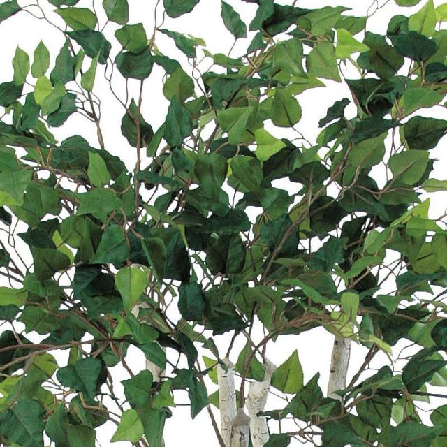 人工観葉植物 バーチツリー （ポット付き） グリーン 高さ120cm （P284-a50768) （代引き不可） インテリアグリーン フェイクグリーン_1