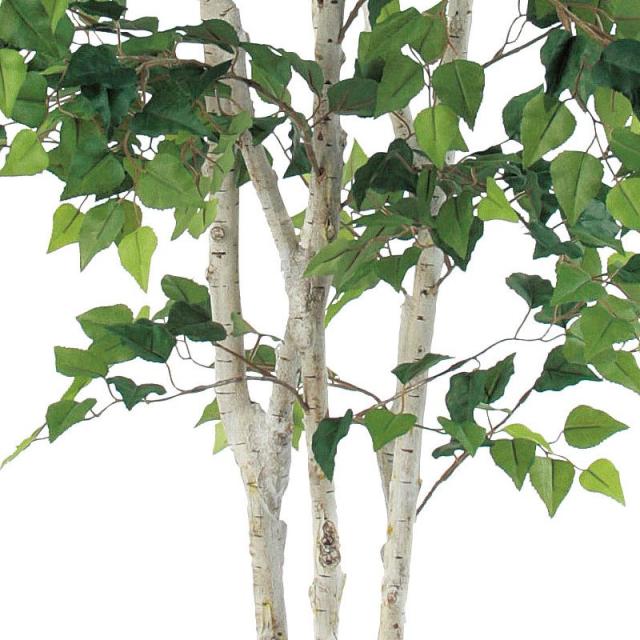 人工観葉植物 バーチツリー （ポット付き） グリーン 高さ120cm （P284-a50768) （代引き不可） インテリアグリーン フェイクグリーン_2