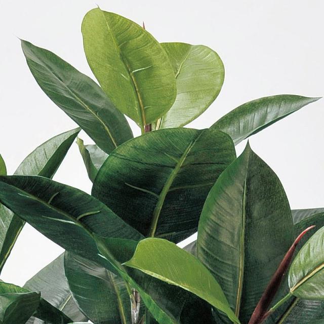 人工観葉植物 ラバーツリー （ポット付き） グリーン 高さ110cm （P276-a50802) （代引き不可） インテリアグリーン フェイクグリーン_1