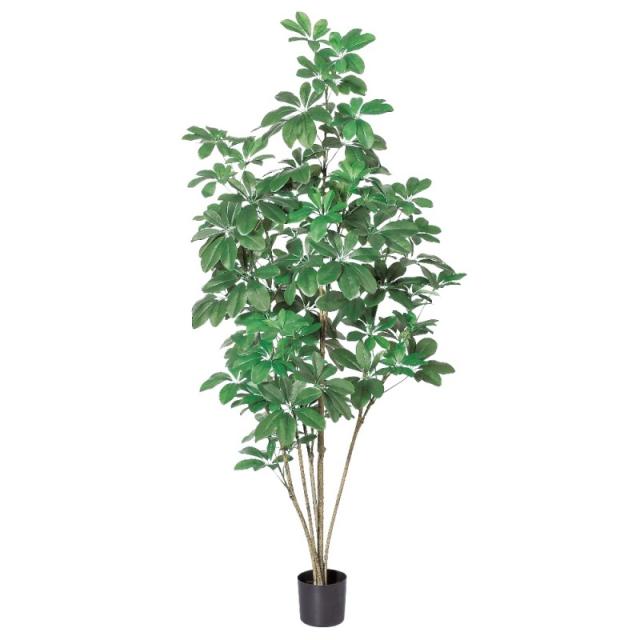 人工観葉植物 シェフレラ （ポット付き） グリーン 高さ148cm （P286-a50859) （代引き不可） インテリアグリーン フェイクグリーン