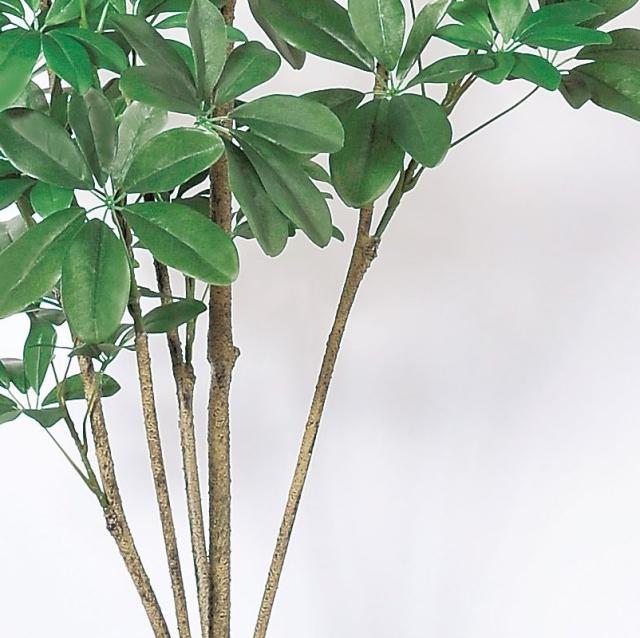 人工観葉植物 シェフレラ （ポット付き） グリーン 高さ148cm （P286-a50859) （代引き不可） インテリアグリーン フェイクグリーン_2