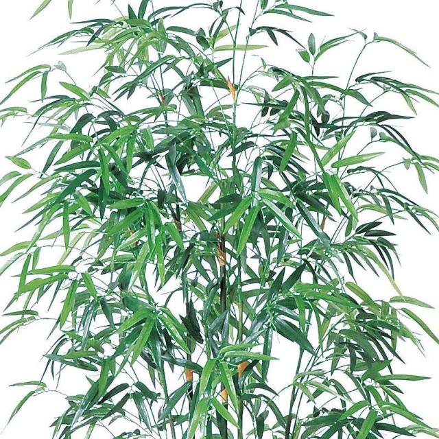 人工観葉植物 バンブーツリー （ポット付き） グリーン 高さ200cm （P294-a50865) （代引き不可） インテリアグリーン フェイクグリーン_1