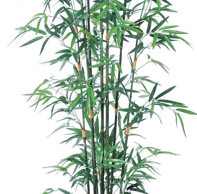 人工観葉植物 バンブーツリー （ポット付き） グリーン 高さ200cm （P294-a50865) （代引き不可） インテリアグリーン フェイクグリーン_2