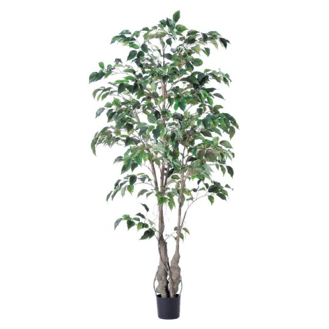 人工観葉植物 ファイカスツリー （ポット付き） グリーン 高さ152cm （P285-a50866) （代引き不可） インテリアグリーン フェイクグリーンの通販は