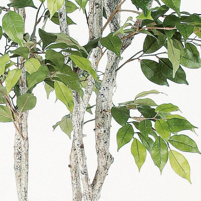 人工観葉植物 ファイカスツリー （ポット付き） グリーン 高さ182cm （P285-a50881) （代引き不可） インテリアグリーン フェイクグリーン_2