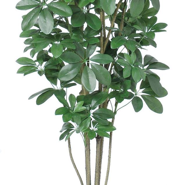 人工観葉植物 シェフレラ （ポット付き） グリーン 高さ180cm （P286-a50899) （代引き不可） インテリアグリーン フェイクグリーン_2