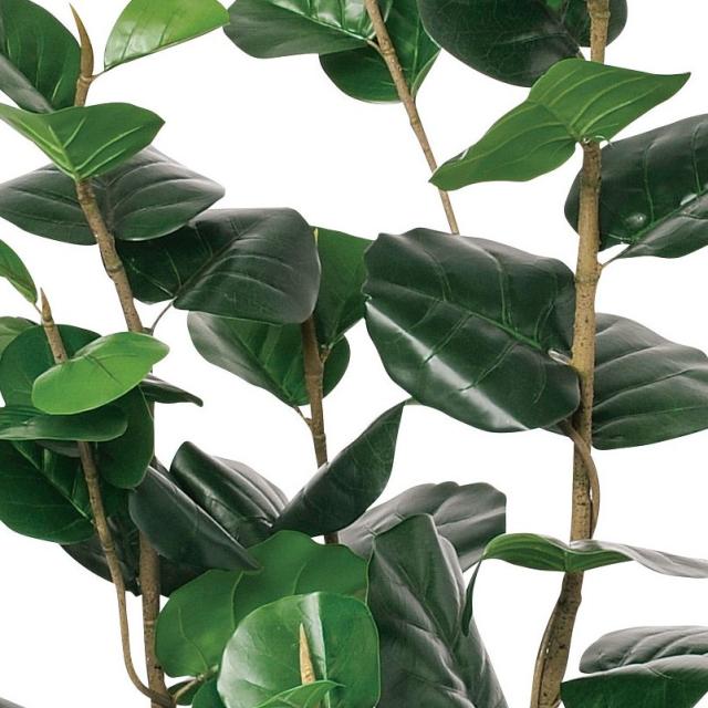 人工観葉植物 インディアンアーモンド （ポット付き） グリーン 高さ155cm （P277-a50900) （代引き不可） インテリアグリーン フェイクグリーン_1