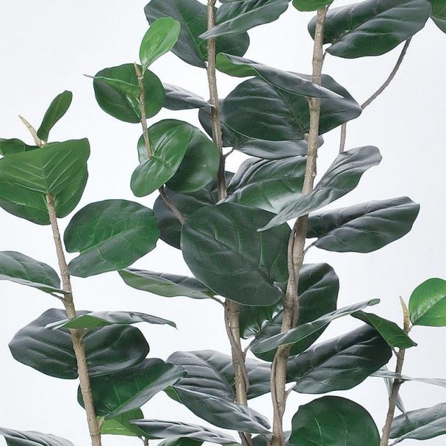 人工観葉植物 インデアンアーモンド （ポット付き） グリーン 高さ180cm （P277-a50901) （代引き不可） インテリアグリーン フェイクグリーン_1