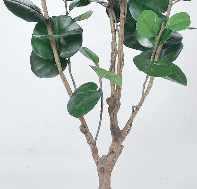 人工観葉植物 インデアンアーモンド （ポット付き） グリーン 高さ180cm （P277-a50901) （代引き不可） インテリアグリーン フェイクグリーン_2