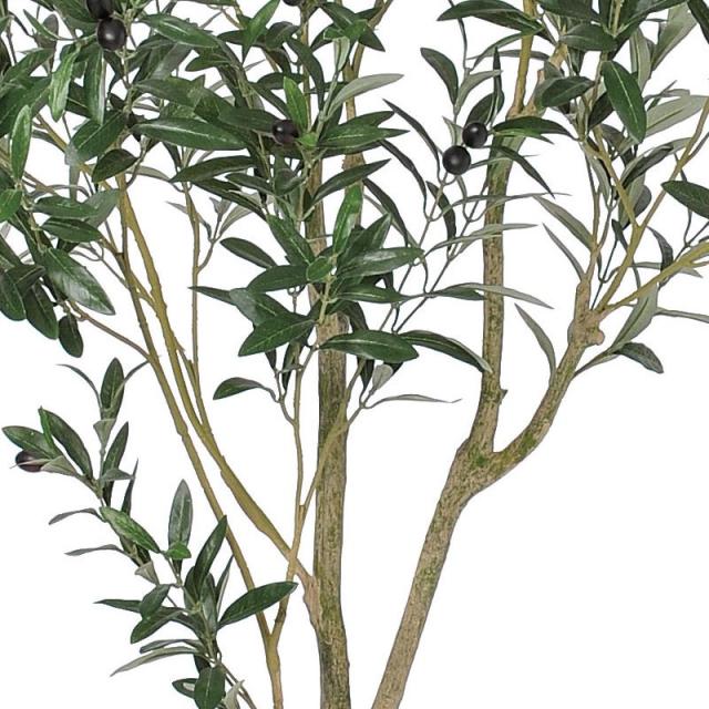 人工観葉植物 オリーブ （ポット付き） ナチュラル 高さ180cm （P280