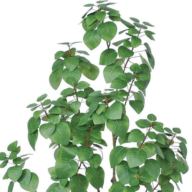 人工観葉植物 スモークツリー （ポット付き） グリーン 高さ140cm （P280-a50904) （代引き不可） インテリアグリーン フェイクグリーン_1