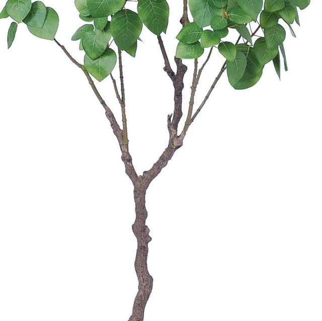 人工観葉植物 スモークツリー （ポット付き） グリーン 高さ140cm （P280-a50904) （代引き不可） インテリアグリーン フェイクグリーン_2