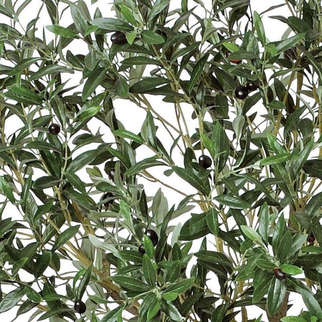 人工観葉植物 オリーブ （ポット付き） ナチュラル 高さ198cm （P281-a50910) （代引き不可） インテリアグリーン フェイクグリーン_1