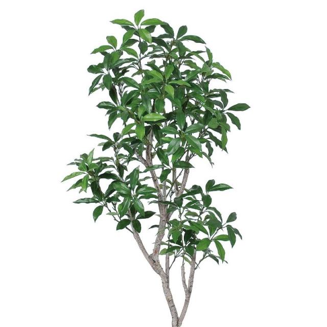 人工観葉植物 ローレルツリー （ポット付き） グリーン 高さ135cm （P279-a50912) （代引き不可） インテリアグリーン フェイクグリーン_1