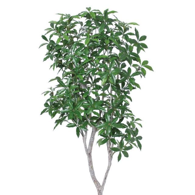 人工観葉植物 ローレルツリー （ポット付き） グリーン 高さ158cm （P287-a50913) （代引き不可） インテリアグリーン フェイクグリーン_1