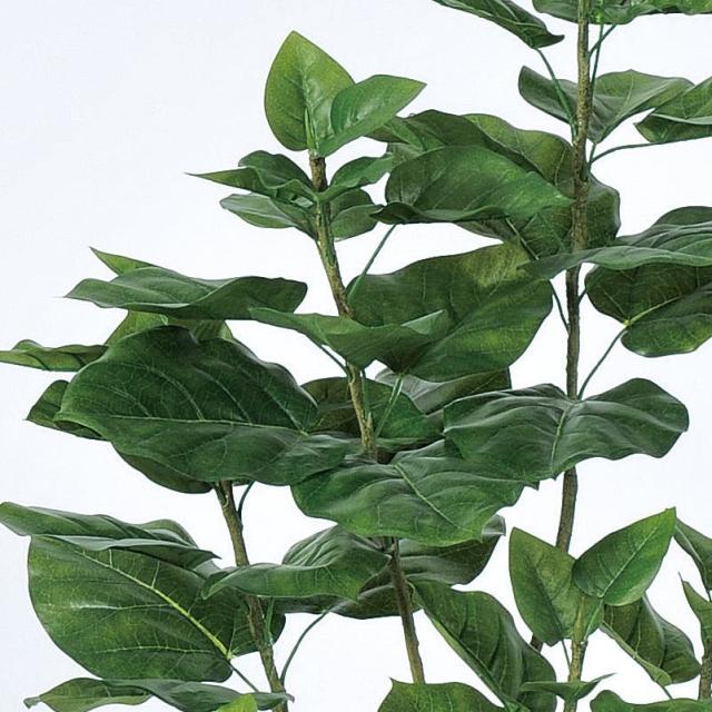 人工観葉植物 ウンベラータ （ポット付き） グリーン 高さ150cm （P277-a50936) （代引き不可） インテリアグリーン フェイクグリーン_1