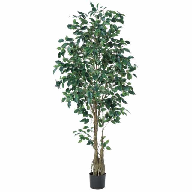 人工観葉植物 ファイカスツリー （ポット付き） グリーン 高さ190cm （P285-a50940) （代引き不可） インテリアグリーン フェイクグリーンの通販は