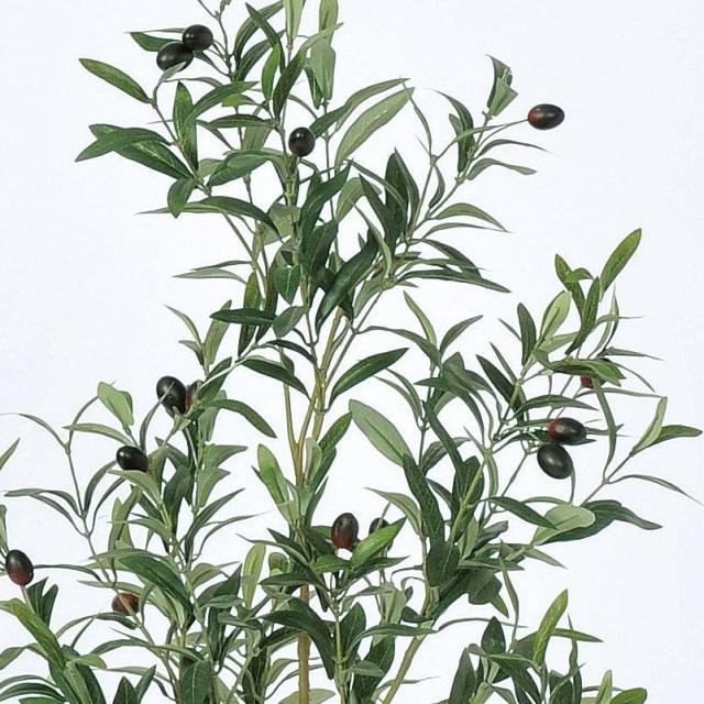人工観葉植物 オリーブ （ポット付き） ナチュラル 高さ115cm （P280-a50945) （代引き不可） インテリアグリーン フェイクグリーン_1
