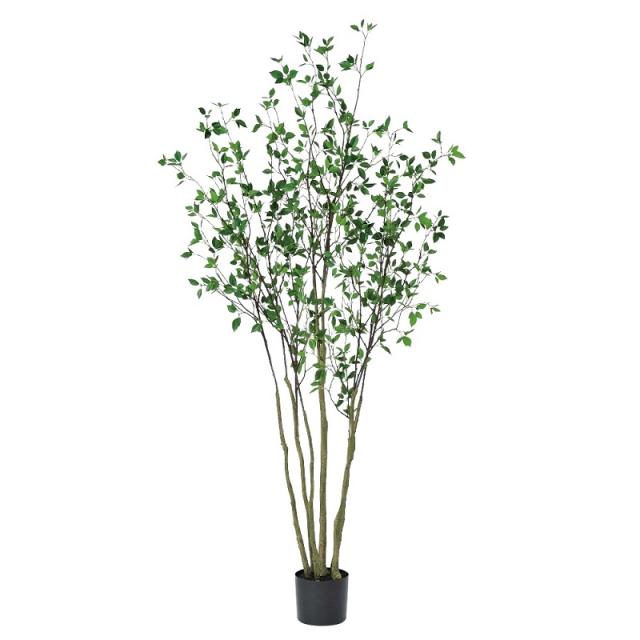 人工観葉植物 ドウダン （ポット付き） グリーン 高さ210cm （P279-a50948) （代引き不可） インテリアグリーン フェイクグリーン