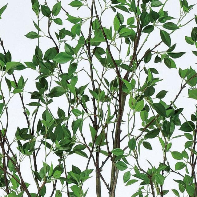 人工観葉植物 ドウダン （ポット付き） グリーン 高さ210cm （P279-a50948) （代引き不可） インテリアグリーン フェイクグリーン_1