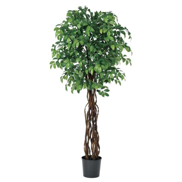 人工観葉植物 サカキツリー （ポット付き） グリーン 高さ185cm （P285-a50952) （代引き不可） インテリアグリーン フェイクグリーンの通販は